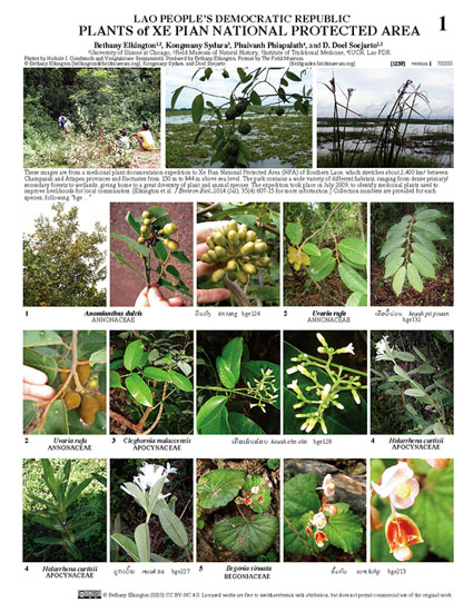 Plantas da Área Nacional Protegida Xe Pian nas províncias de Champasak e Attapeu