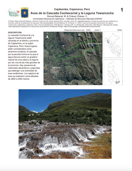 Birds of Cascada Cochecorral and la Laguna Yawarcocha