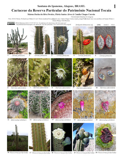 Cactaceae da Reserva Particular do Patrimônio Nacional Tocaia