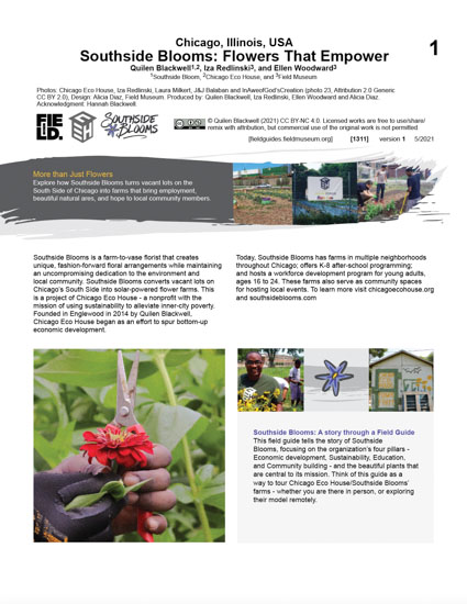 Southside Blooms: Flowers That Empower