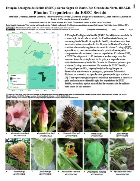 Plantas Trepadeiras da Estação Ecológica Seridó (ESEC Seridó)