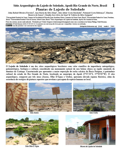 Plantas do Sítio Arqueológico Lajedo de Soledade Archeological Site