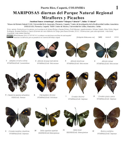 Daytime butterflies of the Regional Natural Park Miraflores and Picachos