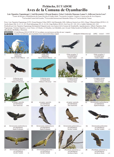 Aves da Comuna de Oyambarillo