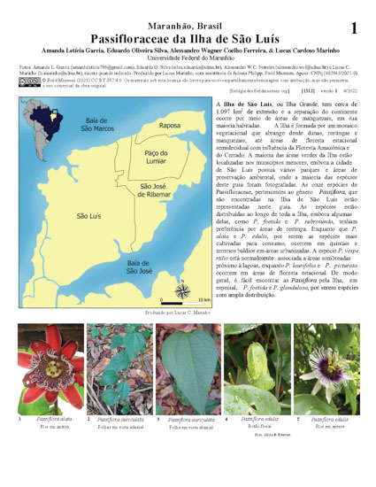 Passifloraceae de la Isla de São Luís