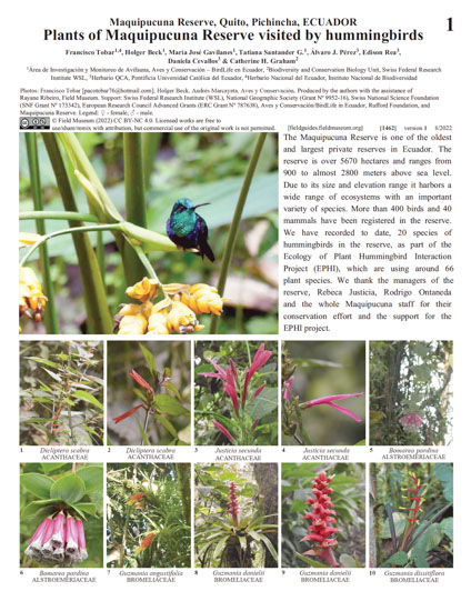 Plants of Maquipucuna Reserve visited hummingbirds