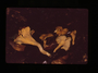 Kodachrom slide film scans of Costa Rican Fungi