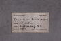 UC 22412 Label