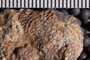 UC 27635 b-cu