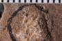 UC 27704 a-cu