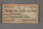 UC 717 A Label