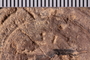 UC 17302