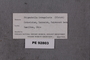 PE 92803 Label