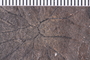 UC 360360-1a Close Up