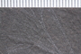 UC 23591b Close up