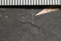 PE 92849a Close up