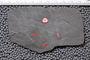 UC 23612a