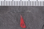 UC 23612a Close up