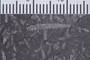UC 23694a Close up