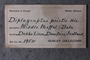 UC 19511 Label
