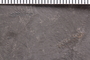 UC 3765a Close up