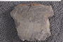 UC 23647-1b