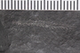 UC 23647a Close up