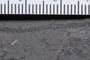 PE 60212b Close up