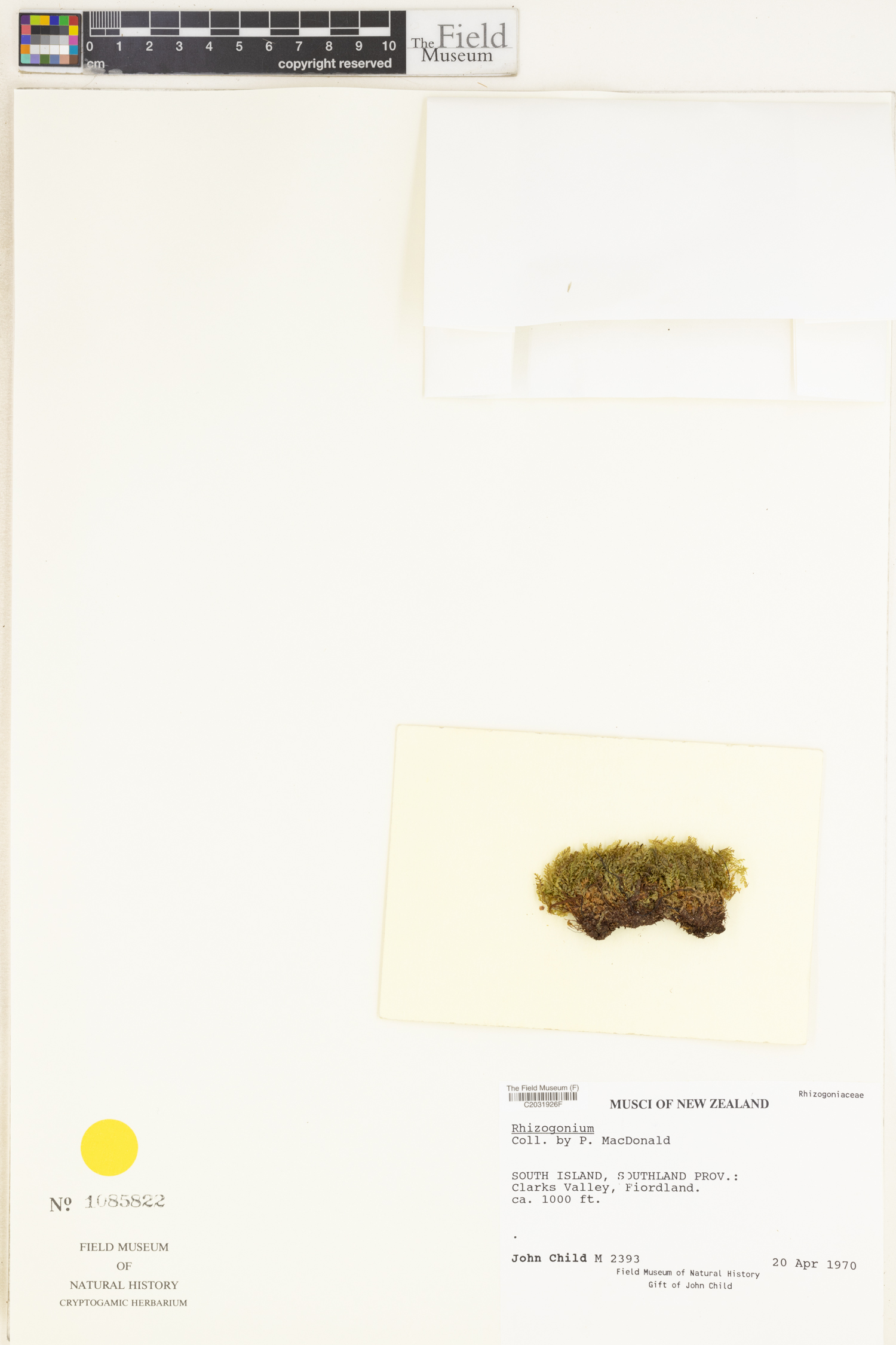 J. Child Botanical Collections