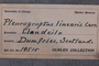 UC 19515 Label