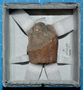 6566.3 clay (ceramic) vessel fragment (sherd)