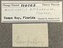 110103 Calotrophon ostrearum label FMNH IZ