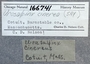 166741 Urosalpinx cinerea label FMNH IZ