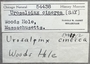 54438 Urosalpinx cinerea label FMNH IZ