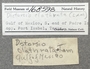 168598 Distortio clathrata label FMNH IZ