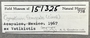 151325 Cymatium femorale label FMNH IZ