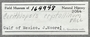 164948 Varicopeza crystallina label FMNH IZ