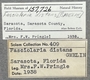 157726 Cinctura hunteria label FMNH IZ