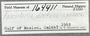 164411 Fasciolaria tulipa label FMNH IZ