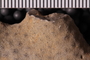 UC 39791