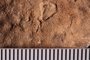 UC 45237