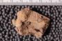 PE 92075 a
