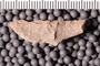 PE 92075 b