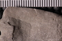 PE 92079 b Close up
