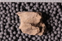 PE 92093 a