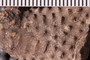 UC 207_ a_ a Close up