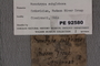 PE 92580 Label