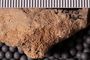 UC 17515 Fossil5