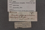 PE 18359 Label