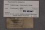 PE 92547 Label